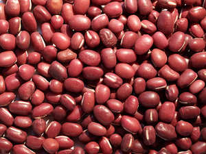Frijoles Adzuki Orgánicos de Alta Calidad, Vigna Angularis, Bolsa a Granel de Veinticinco Kilogramos, Limpia a Máquina, Secos, Duración de 18 Meses - Product Image 6
