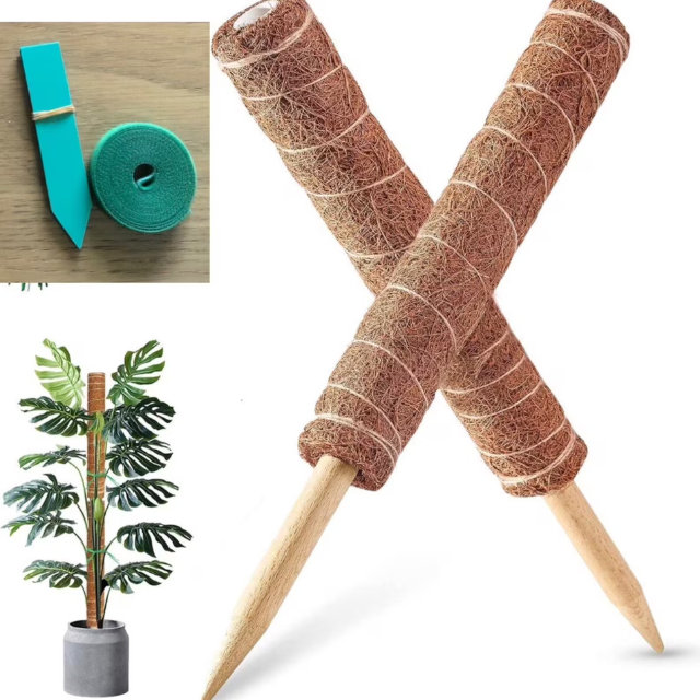 ช็อกโกแลต