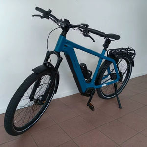 CLEAN Best Buy 2025-2026 Charger 4 GT Rohloff Vélo de randonnée électrique Prêt à être expédié dans le monde entier - Product Image 1