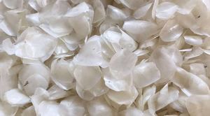 Báscula de pescado seco a granel, proveedor de Vietnam al por mayor, fuente de extracción de colágeno directa de fábrica para producción cosmética - Product Image 2