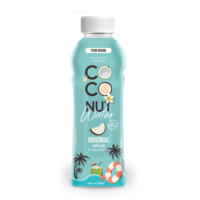 Purée de pastèque d'eau de noix de coco naturelle 100% bouteille de 600ml OEM Tan Do boisson jus de légumes fruits tropicaux Ben Tre Vietnam