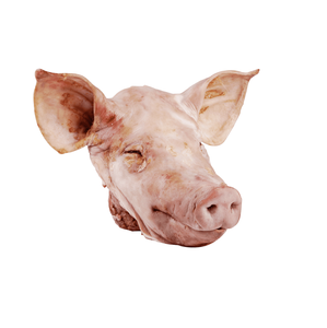 Cabezas de cerdo congeladas enteras a granel baratas, ideales para cocina tradicional y aplicaciones culinarias, para mercados internacionales - Product Image 4