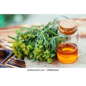 Aceite esencial de Euphorbia puro 100% Aceite esencial de Euphorbia al por mayor Aceite esencial de Euphorbia puro natural - Product Image 3