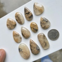 InfinityStones Agate Dendritique Tigre Marron Naturelle Cabochon Formes Mixtes Taille Libre 3-6mm Fournitures Premium pour la Fabrication de Bijoux Rajasthan