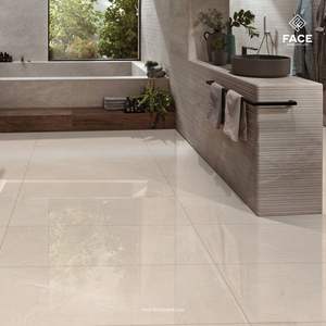 Azulejos de Porcelana Duraderos y Elegantes de la India, 600x600 mm, Proveedor de Productos de Azulejos de Confianza a Nivel Mundial, Azulejos de Buena Calidad en Todo el Mundo - Product Image 1