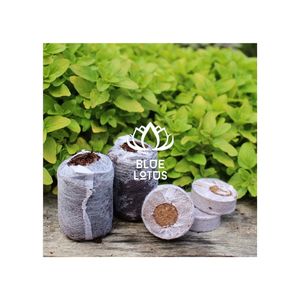 Pellets de coco de qualité supérieure, qualité immaculée pour les projets de plantation traditionnels et matériau durable pour la décoration verticale extérieure - Product Image 1