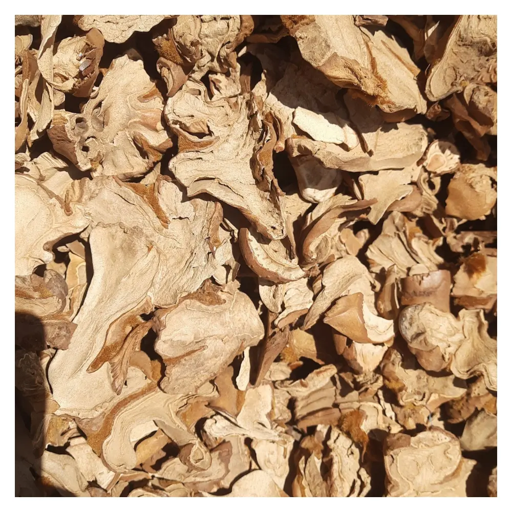Cibotium Barometz Roots Vietnam Export Best Quality With Competitive Prices Good for Health Medicinal Herbs