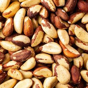 Proveedor Mayorista de Nueces de Brasil para Supermercados, Cadenas de Restaurantes y Comerciantes Globales - Venta al Por Mayor - Product Image 1