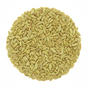 Premium Fennel Seeds 100% Natural Air-Dried <b>Customized</b> <b>Packaging</b> Export Quality 24 Months Shelf Life Al Nada Brand - Product Image 1