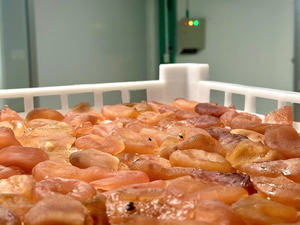 Fruta de la Pasión seca Exportación de Vietnam Alta calidad Mejor precio - Product Image 3