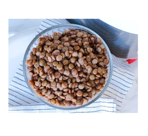 Lentejas Rojas Australianas Baratas en Venta, Suministro a Granel de Alta Calidad para Procesamiento de Alimentos, Cocina y Mercados de Exportación Globales - Product Image 5