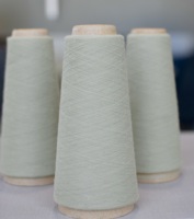 Hochwertiges 24/1 Ne 100% Polyester Virgin-Garn Ringgesponnen Gefärbt Hellgrün Hohe Reißfestigkeit Recycelbar Strickgarn FSF-168 Z/S Twist Marke