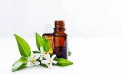 Fabricante Mayorista de Absoluto de Neroli 100% Puro y Natural, Absoluto de Neroli de Primera Calidad a un Precio Accesible de la India - Product Image 6