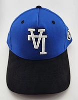 Gorra de Béisbol Personalizada para Papá, Unisex, de Calidad de Marca, 6 Paneles, Logotipo Bordado en 3D, Estilo Urbano, Deportivo, Común, 100% Lona de Algodón