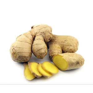 Gingembre frais séché Prix du marché par tonne Acheteurs en gros de gingembre pour l'exportation au Vietnam Gingembre/Rose - Product Image 5