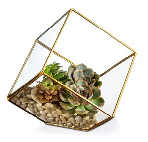 Terrario de cristal colgante alto con marco de hierro negro hecho a mano para la exhibición y decoración de la Mesa del hogar al por mayor. - Product Image 4