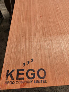 Modern Style 28mm Marine Plywood Eucalyptus Material with E1 Formaldehyde Emission Standard for Container Floor - Product Image 3