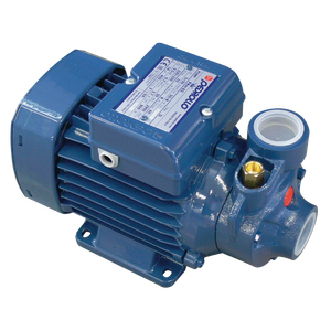 Pompe à eau monophasée Kaleta 230V, moteur DC 0,5 CV, puissance 30W, basse pression pour l'arrosage et les bassins - Product Image 1