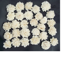 Fleurs sola naturelles de taille 2 cm, adaptées aux papeteries de mariage et aux magasins de décoration intérieure