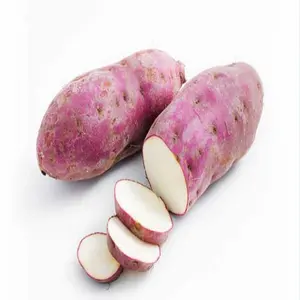 טרי תפוחי אדמה מתוקים באיכות גבוהה מחיר זול מקצועי יצוא סיטונאים תפוחי אדמה
