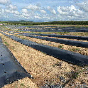 Nông nghiệp nhiệm vụ cao cảnh quan PP PE Weed kiểm soát UV nhựa cắt mặt đất che cỏ dại kiểm soát vải cỏ che đất - Product Image 4