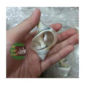 Artisanat de coquillage créatif Anneaux de serviette de coquillage Superbe artisanat de coquillage fait main côtier créatif 99 données d'or - Product Image 1