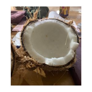 Coco semi descascarado de alto grado-Coco maduro para postres-Ingredientes de cocina con coco semi descascarado - Product Image 3