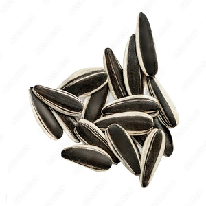 สั่งเมล็ดทานตะวันเมล็ดถั่วเคอร์เนล - Product Image 2