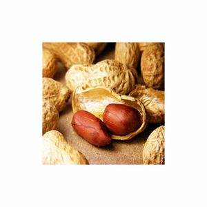 Cacahuete de grado alimenticio orgánico, cacahuete tostado, venta al por mayor, cacahuetes de piel roja seca, nueces de tierra crudas, cacahuetes - Product Image 6