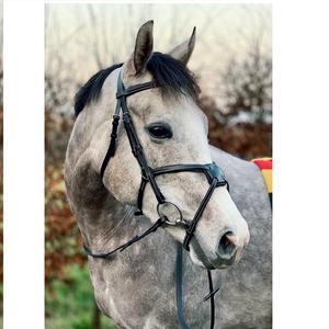 BRIDA DE PIEL DE CABALLO ECUESTRE CON CORREA DE BARBILLA SOFTY ACOLCHADA TOTALMENTE COLOR HABANA COSTURA BLANCA FANCY - Product Image 2