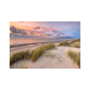 Beech Long ofrece venta a granel de troncos de madera de alta calidad para todo tipo de proyectos de madera - Product Image 3