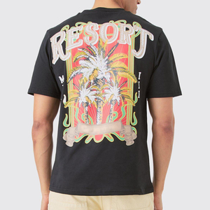 2025 100% coton o-cou graphique t-shirts Anti-rides Logo personnalisé sérigraphie Jersey tissu avec motif solide coton t-shirts - Product Image 2