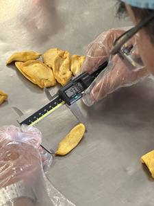 Chips de Jackfruit Frits sous Vide du Vietnam, Collation Saine et Sucrée, Tranches de Jackfruit Séchées Croustillantes au Goût Tropical Naturel - Product Image 5