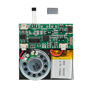 Programmeerbare 8M Oplaadbare Usb Mp3 Sound Muziekspeler Met Stemmodule Mini Wenskaart Lichtsensor Geluidschip Module