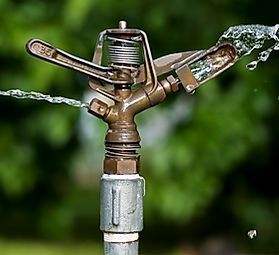 Aspersor de metal compacto con flujo de agua similar a la lluvia y acabado resistente a la corrosión adecuado para pequeños jardines y macetas - Product Image 5