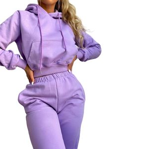Conjunto Deportivo Informal de Invierno para Mujer, Estilo Jumper Trend 2025, Unisex, Personalizado con Logotipo Estampado, Sudadera Lisa - Product Image 2
