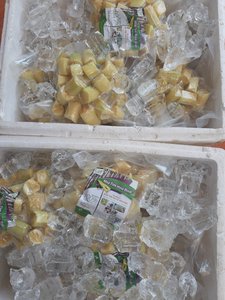 Palitos de caña de azúcar congelados Premium Proveedores de Vietnam Caña de azúcar pura dulce Cantidades a granel Oferta competitiva Venta de exportación Mejor oferta - Product Image 2