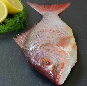 Đông Lạnh 150-350G Kích Thước Tươi Chất Lượng Cao Đông Lạnh Màu Đỏ Cá Hồng Biển Cá Cá Cá Tươi Cả Vòng - Product Image 4