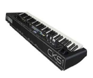 Oferta con Descuento: Piano de Escenario CK61 de 61 Teclas con Asa de Plástico, Altavoces Integrados, Personalización OEM y 3 Años de Garantía - Product Image 3