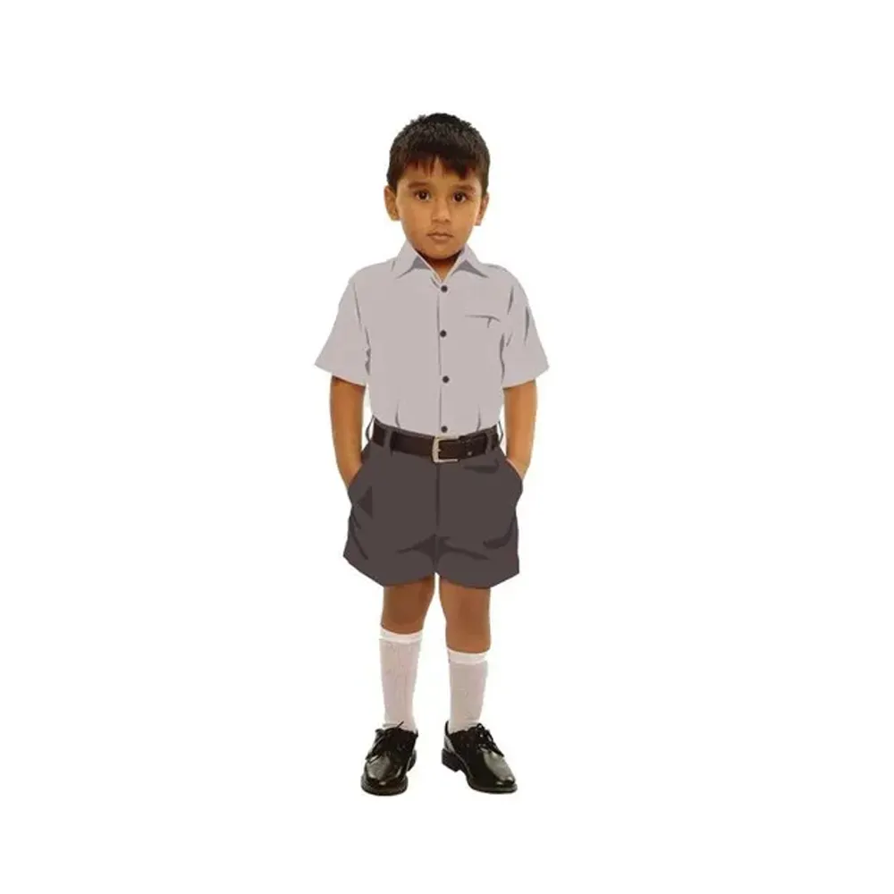 Boys school Uniform Manufacturer Short Sleeve Plain Shirt Plaid Checks Shorts Set For Custom Made