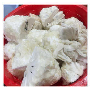 100% Soursop de mangoustan congelé naturel avec des graines, origine de fruit corossol tropical IQF congelé Offre Spéciale au Vietnam - Product Image 3