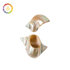 Durable Seashell Napkin Rings for Coastal Theme Parties <b>Weddings</b> and Events with Affordable Price Point - Product Image 1