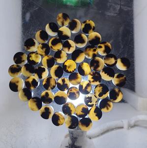 Espacios en blanco de botón de cuerno de búfalo natural para costura y artesanía - Product Image 2