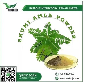 Extracto de Bhumi Amla de calidad de exportación para desintoxicación y Salud Digestiva Suplemento de hierbas naturales para la limpieza del hígado DE LA India - Product Image 5