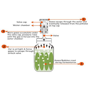 70mm 86mm boca pequeña completa Mason Jar fermentación Pickle Sauerkraut Making Kit Kimchi contenedor Airlock tapas pesos Tamper - Product Image 5