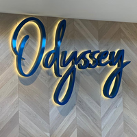 Enseigne lumineuse LED personnalisée en acrylique rétroéclairé avec logo 3D pour bureau, lettres en métal rétroéclairées, logo mat illuminé pour entreprise