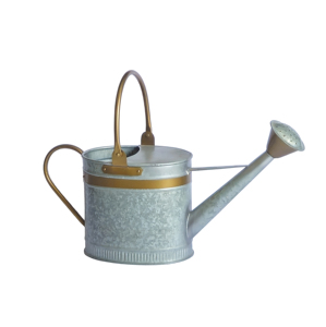 Pot verseur d'eau à bande dorée vintage en métal galvanisé bec amovible arrosoir durable de jardin pour l'alimentation de la verdure à la maison - Product Image 1