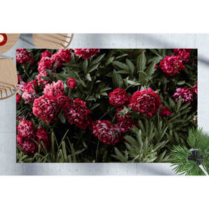 Tapis à motif floral de pivoine : Tapis botanique vintage, tapis d'appoint antidérapant, tapis doux non tissé - Product Image 1