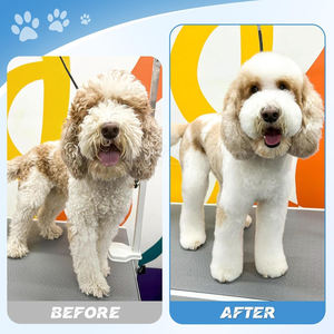 Durable Stainless Steel Pet Grooming <b>Scissors</b> Set for Easy Fur Cutting and Styling for All Breeds - Product Image 4