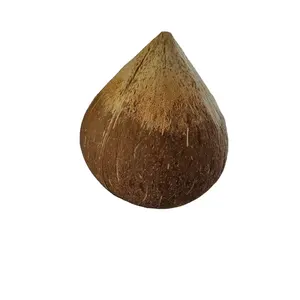 越南半哈克干椰子成熟椰子全壳椰子便宜价格Akina
